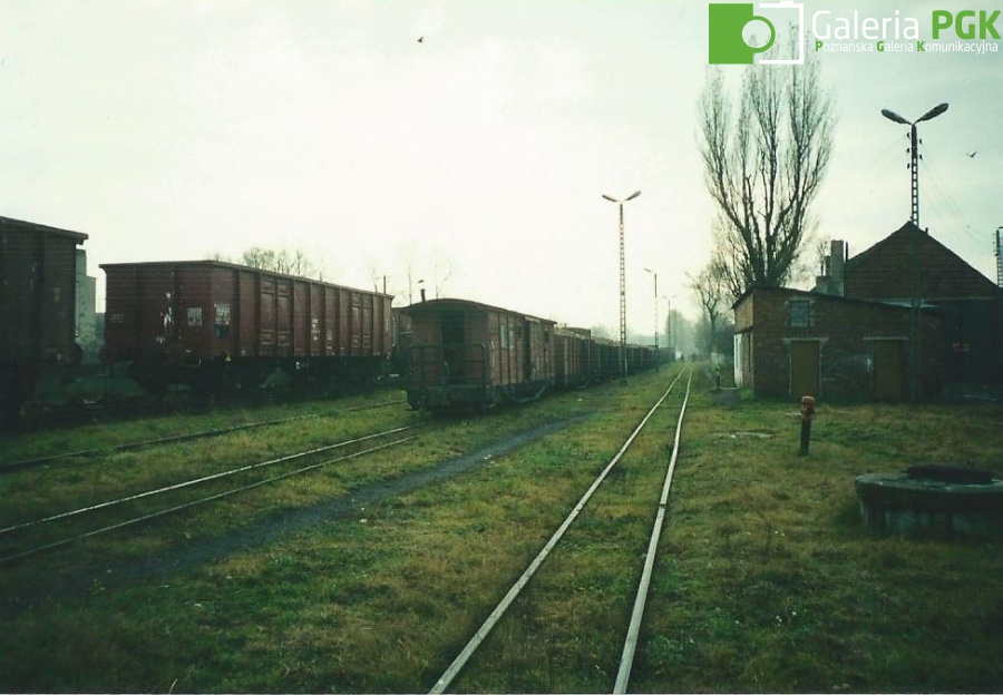 Pociąg z Łowkowic w Dobrem Kujawskim